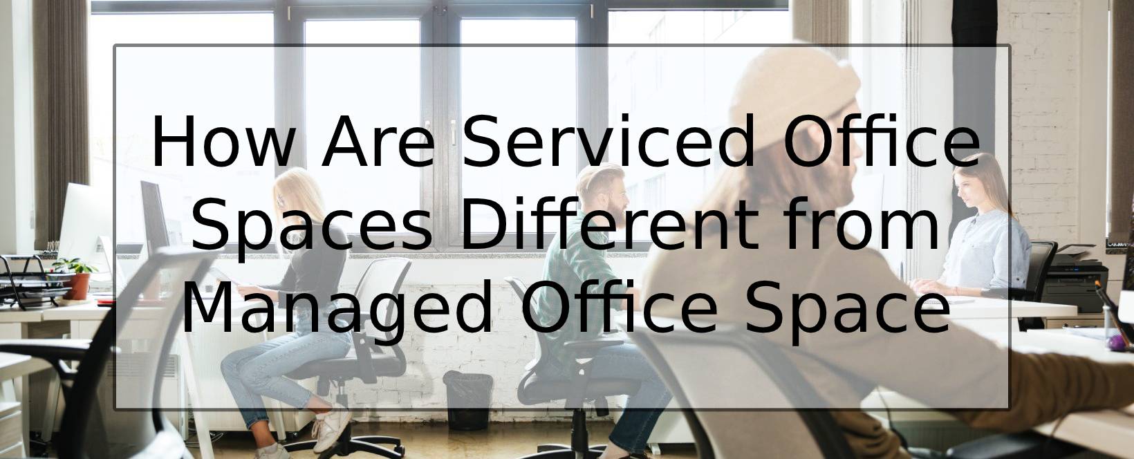 How Are Serviced Office Spaces Different from Managed Office Space